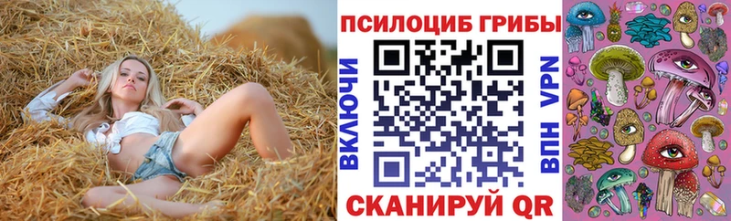 Псилоцибиновые грибы Magic Shrooms  Нахабино 